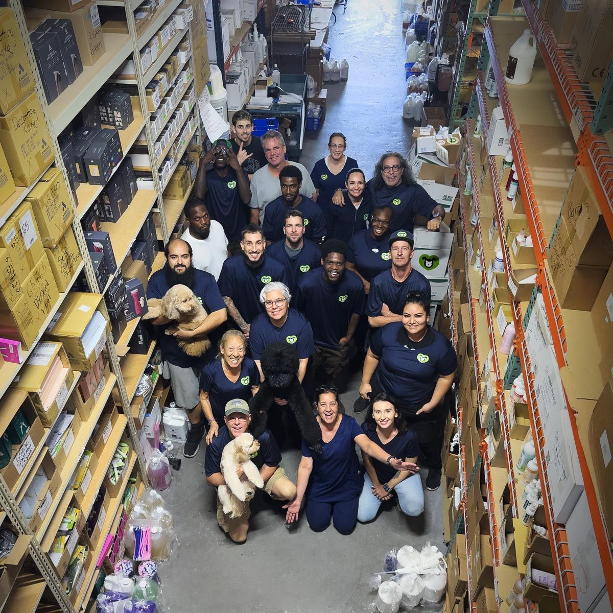 The Pet Store Direct crew, mid-build. Yes, the dogs were on payroll.